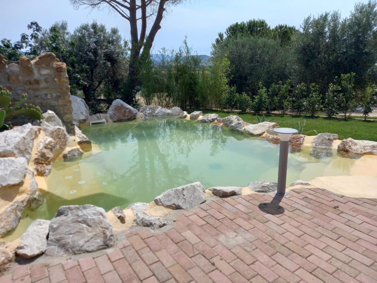 Agriturismo La Fontanella & Glamping Suvereto Kültér fotó