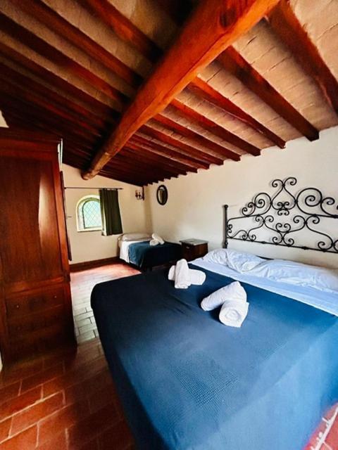 Agriturismo La Fontanella & Glamping Suvereto Kültér fotó