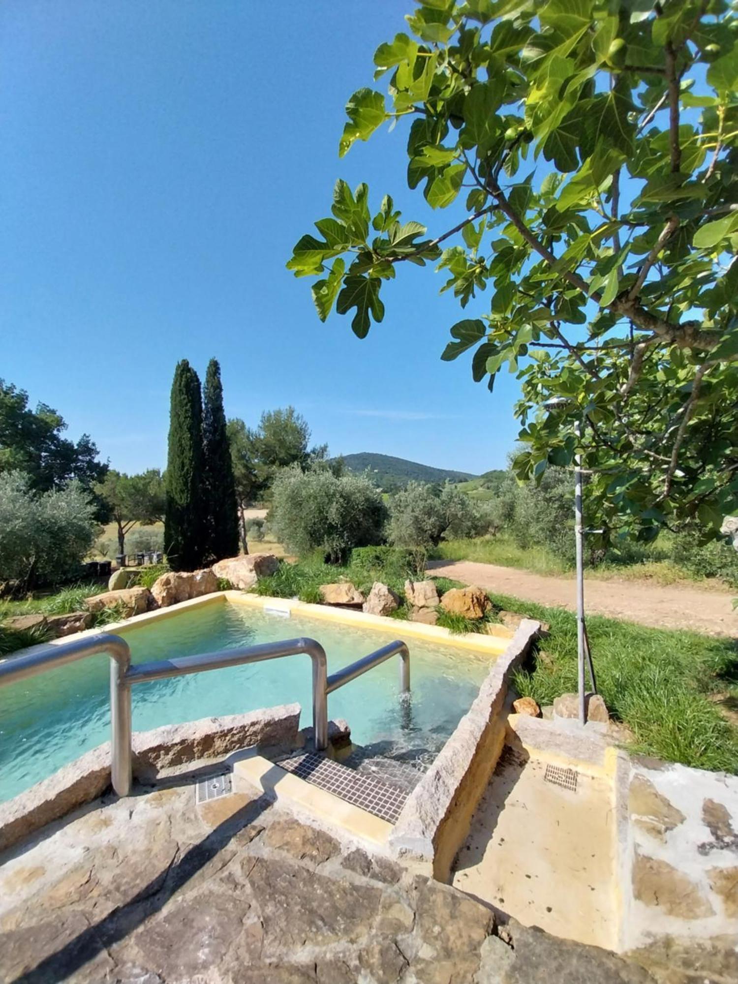 Agriturismo La Fontanella & Glamping Suvereto Kültér fotó