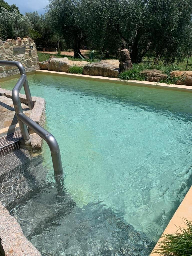 Agriturismo La Fontanella & Glamping Suvereto Kültér fotó