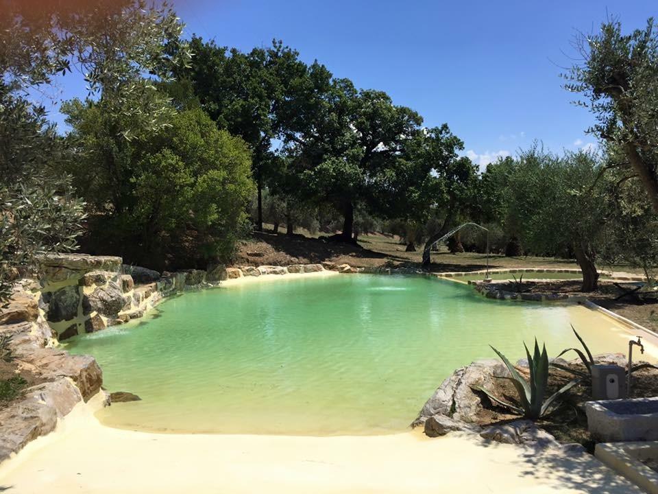 Agriturismo La Fontanella & Glamping Suvereto Kültér fotó