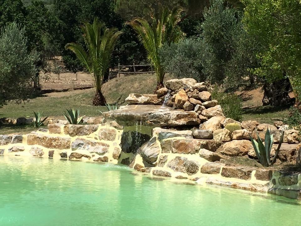 Agriturismo La Fontanella & Glamping Suvereto Kültér fotó