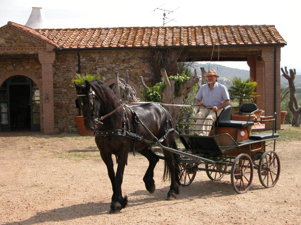 Agriturismo La Fontanella & Glamping Suvereto Kültér fotó