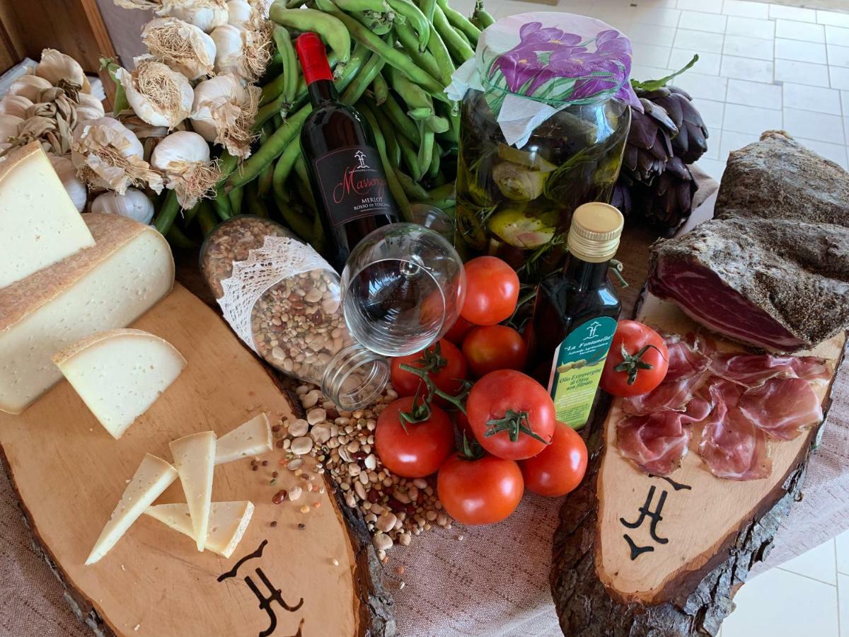 Agriturismo La Fontanella & Glamping Suvereto Kültér fotó